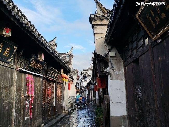 公主岭：“梅”好时节暗香浮动 共赴芬芳花约